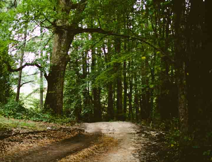 安卓ddos攻击工具