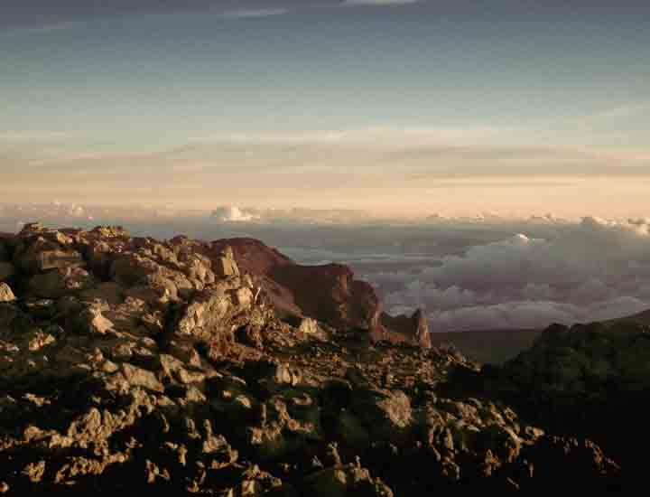 安卓ddos攻击工具