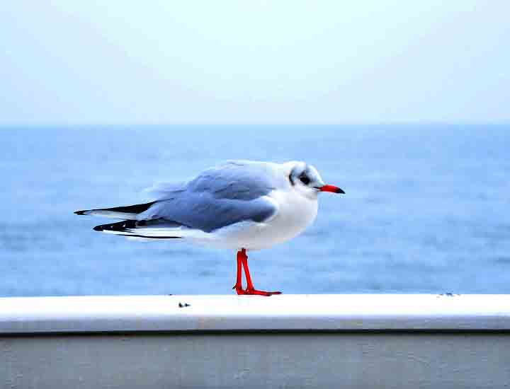 正规的注册渠道推荐的ddos在线攻击平台